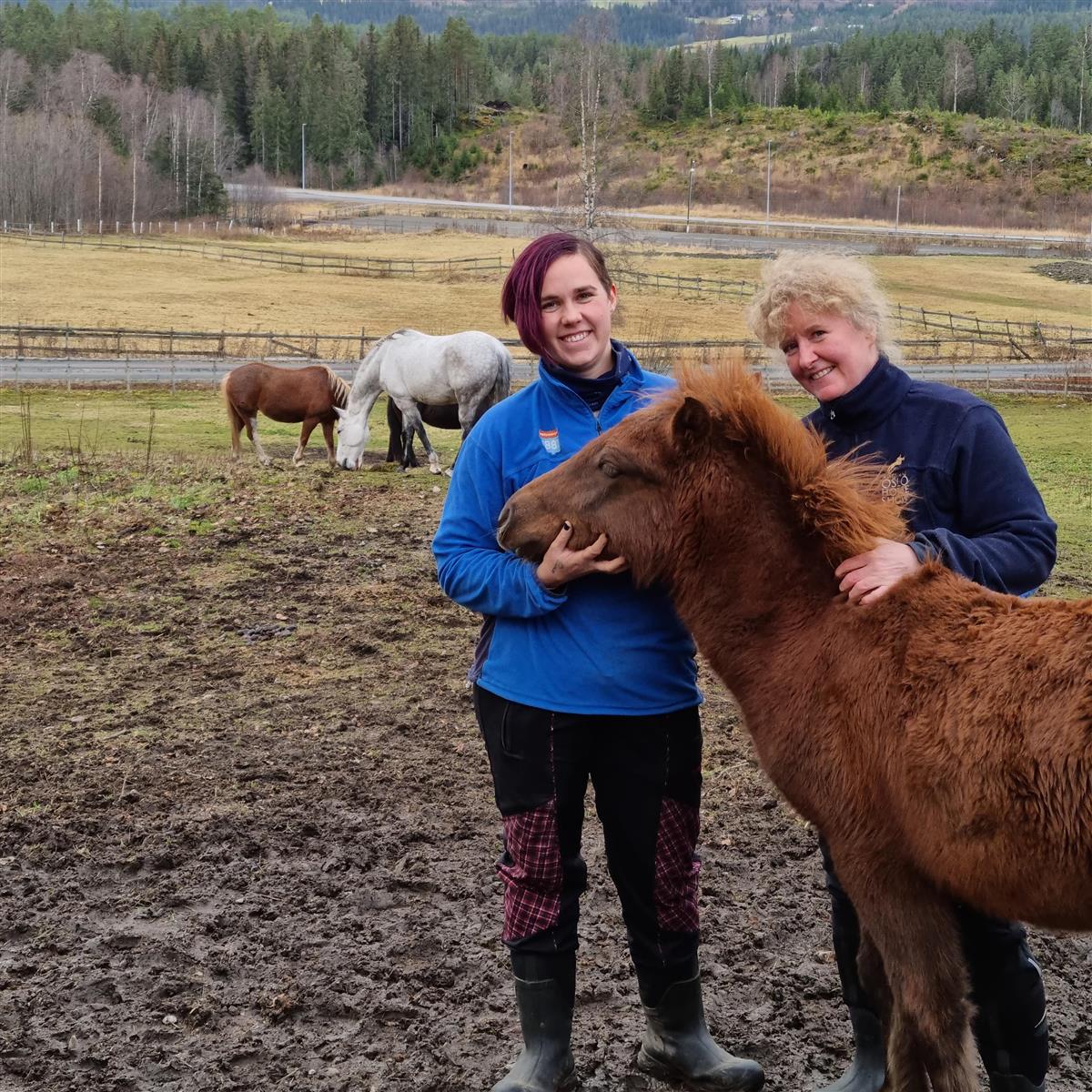 To damer klapper en hest - Klikk for stort bilde